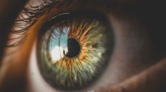 Consciousness First-time Visit: Part II